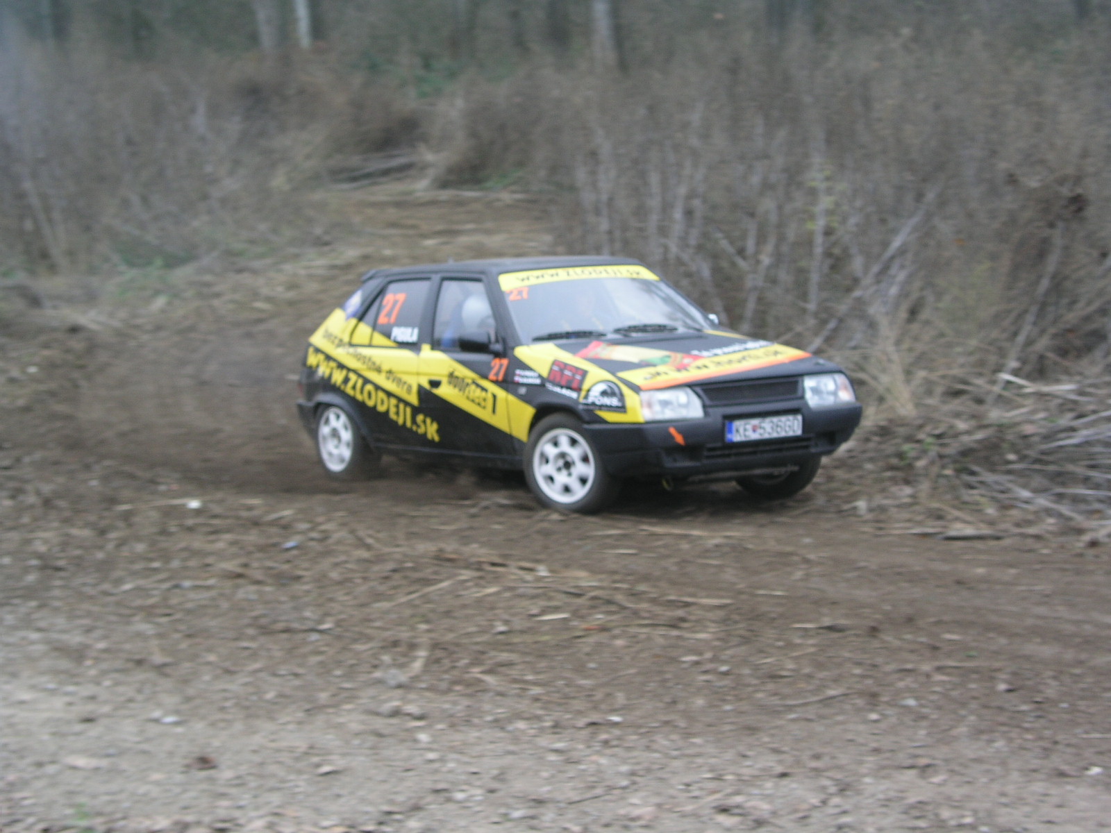 P1010136.JPG