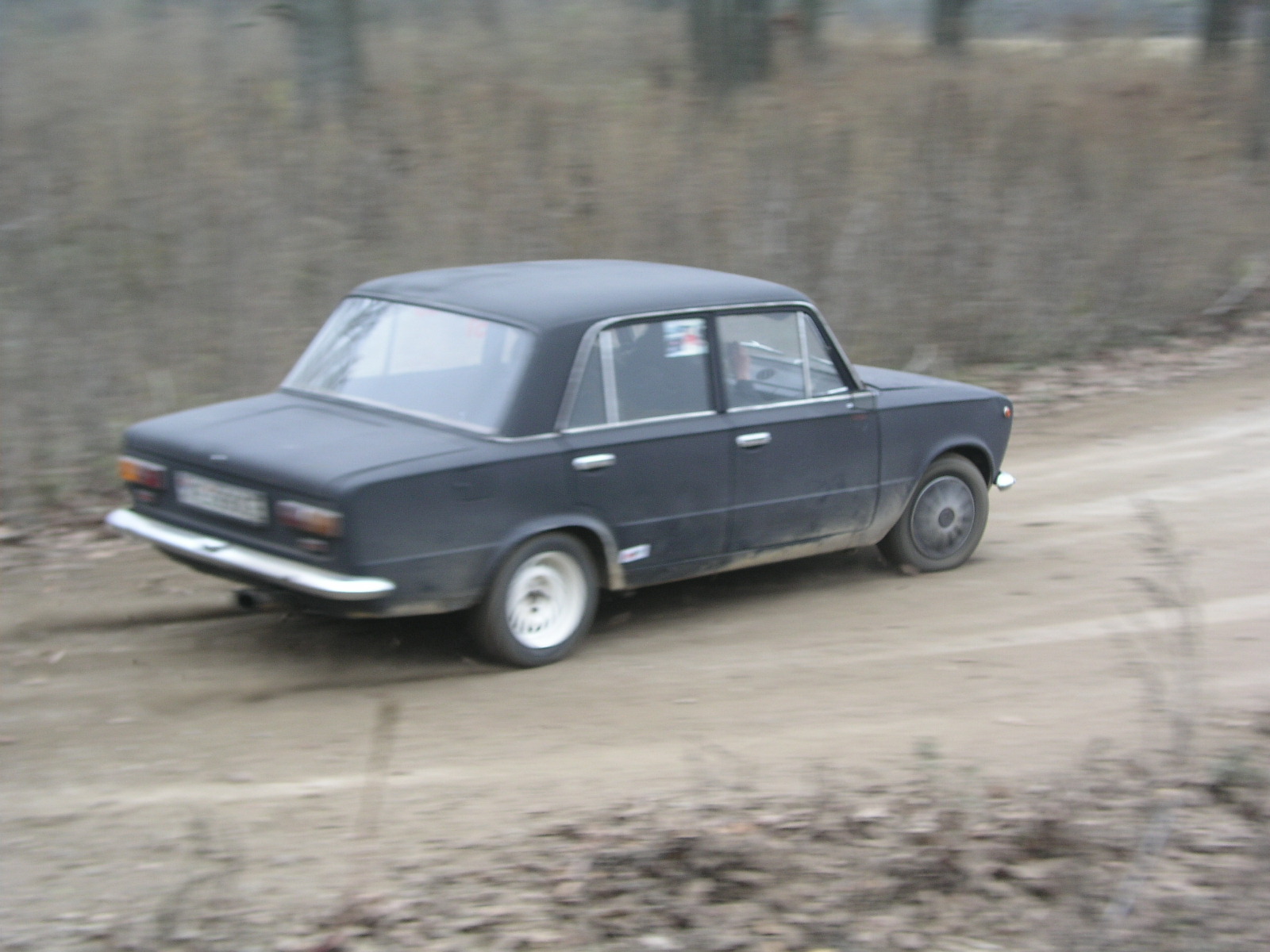 P1010197.JPG