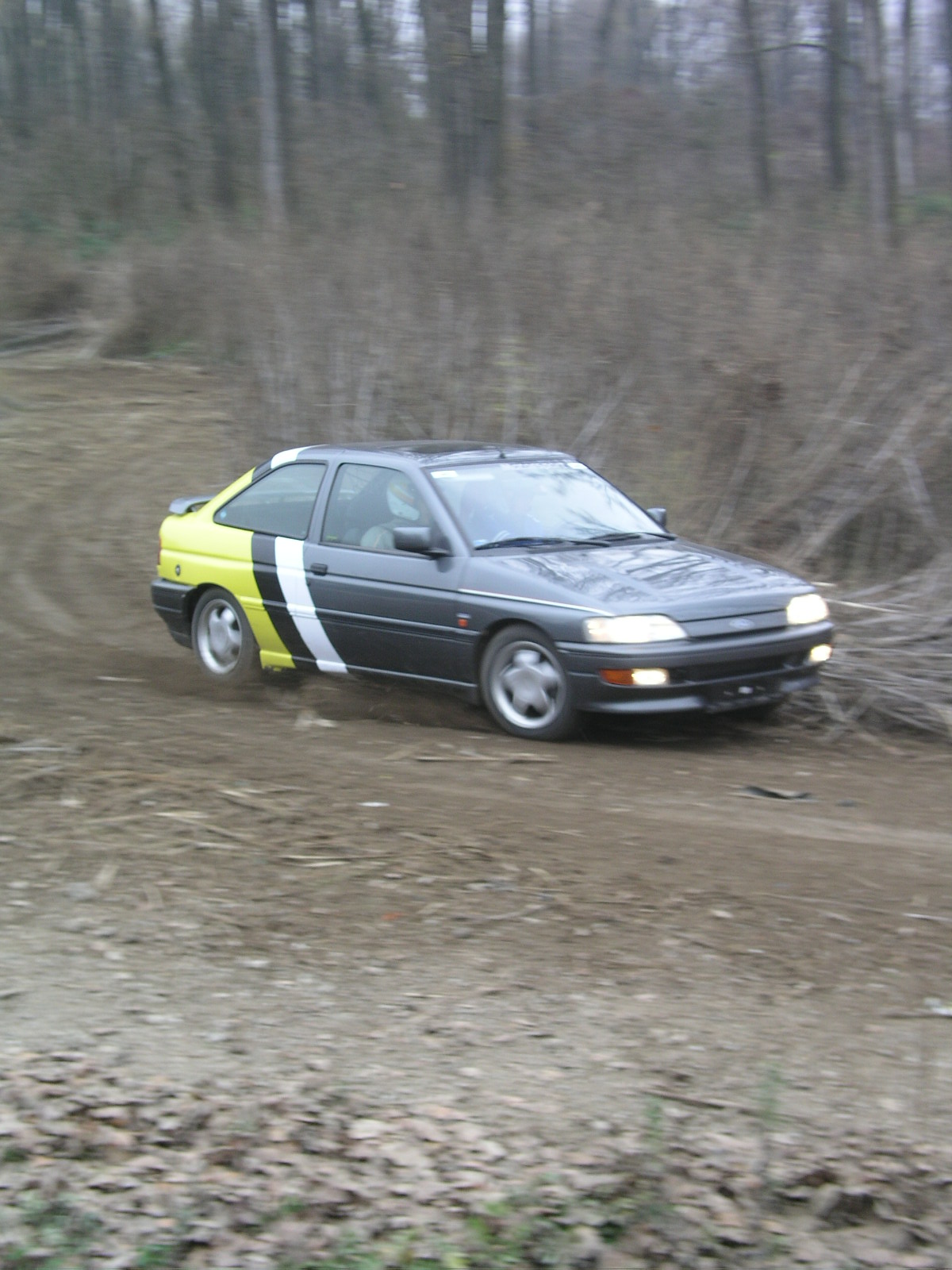 P1010203.JPG
