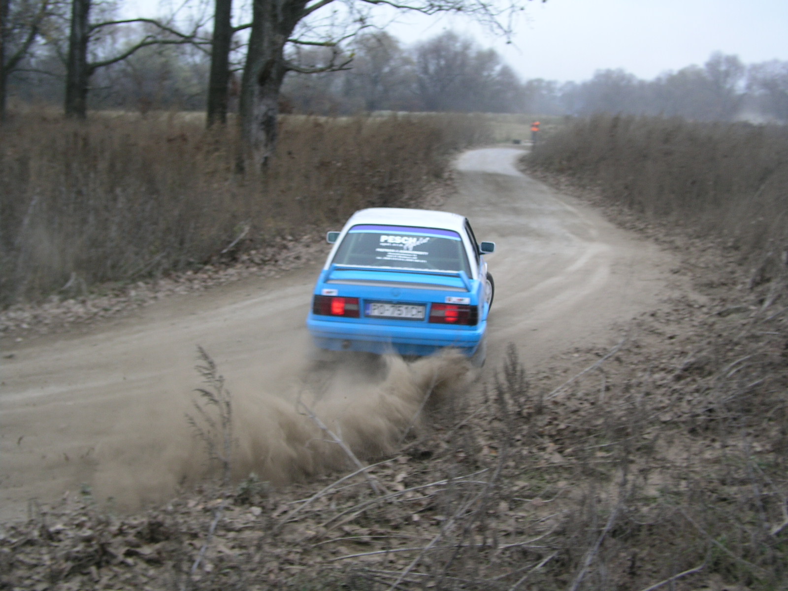 P1010228.JPG