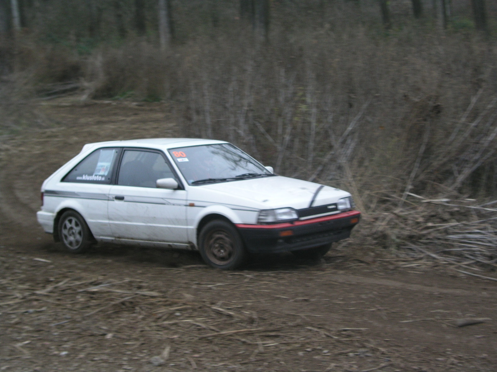 P1010238.JPG