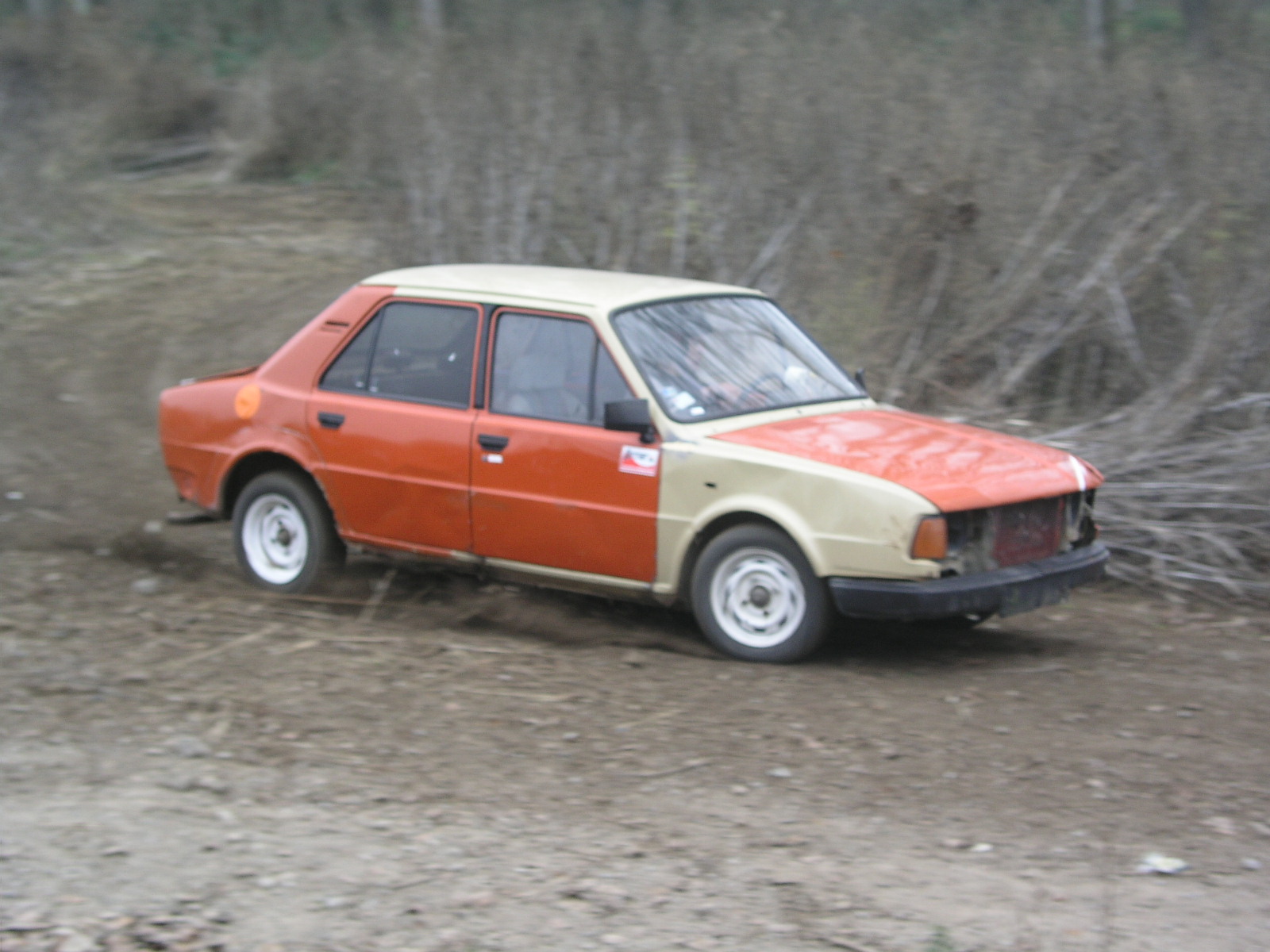 P1010129.JPG