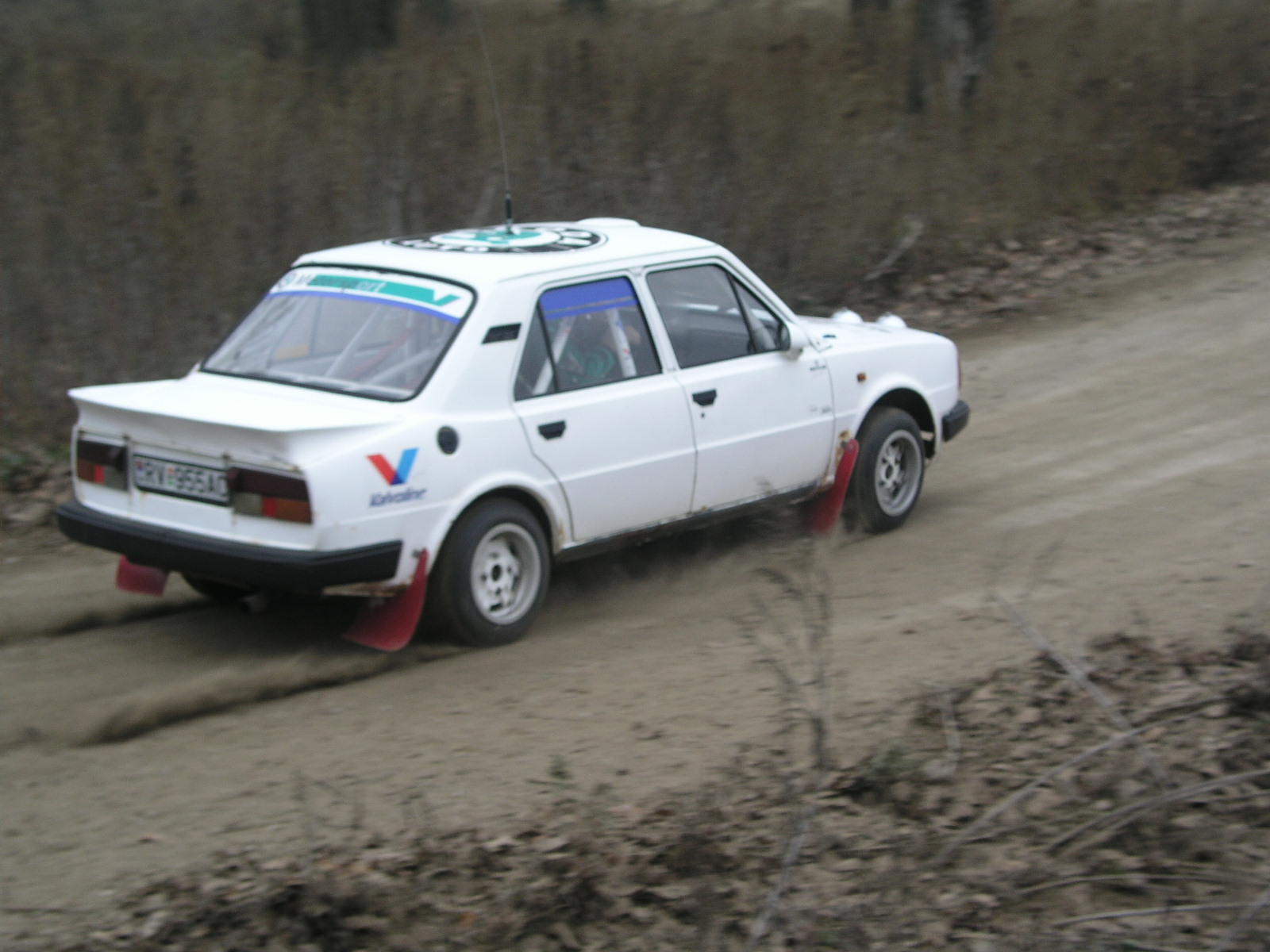 P1010145.JPG